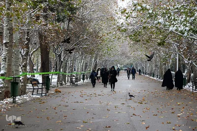 بارش اولین برف پاییزی در مشهد
