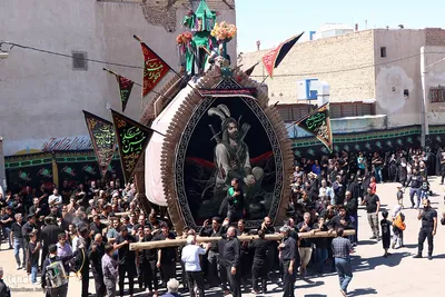 مراسم نخل‌برداری به مناسبت شهادت امام رضا(ع) در یزد‎