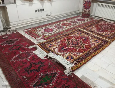 افتتاح نمایشگاه فرش مددجویان کمیته امداد در اهر