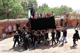 نخل‌گردانی روز عاشورا در روستای ابیانه