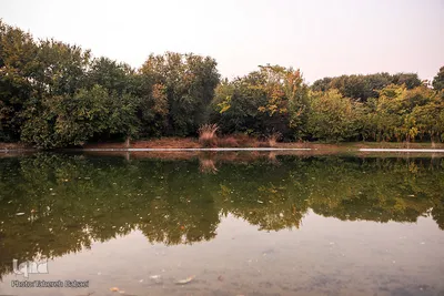 پاییز تهران