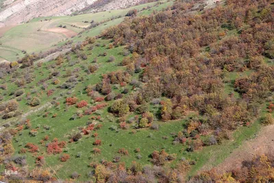 رنگین‌کمان رنگ‌ها در سرزمین ارسباران