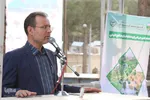 روز بزرگداشت شهدا در خراسان‌جنوبی