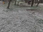 بارش برف زمستانی در اهر
