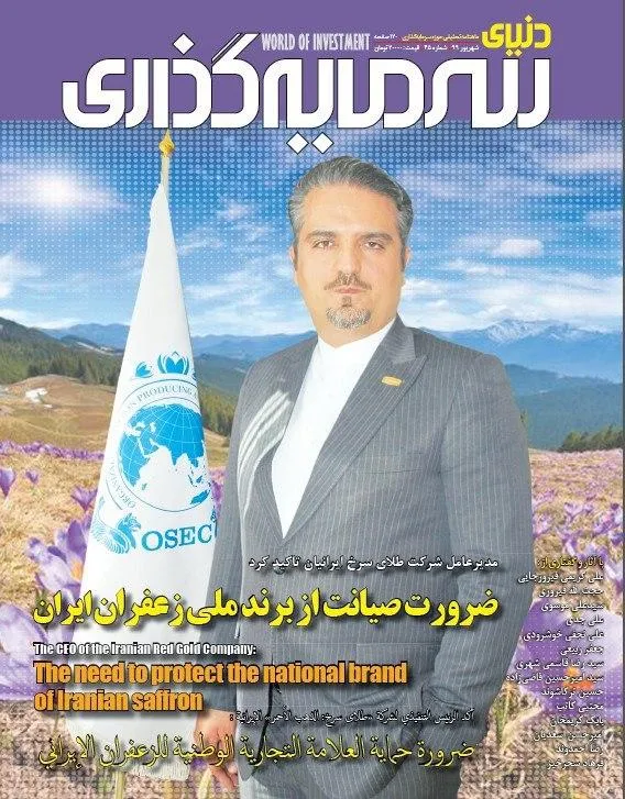 بررسی تبعات رفاه‌زدگی در شماره جدید «دنیای سرمایه‌گذاری»