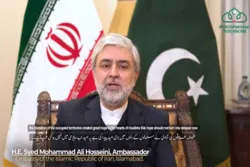 Binigyang-diin ng Sugo ng Iran ang Paggamit ng mga Kakayahang Pandaigdig ng Muslim para Labanan ang Islamophobia