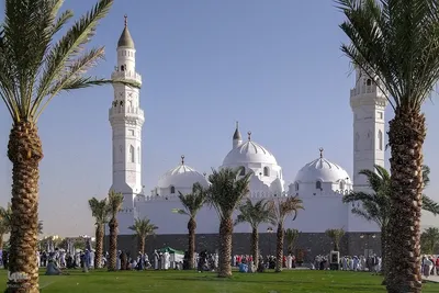 زیارت دوره زائران در مدینه منوره