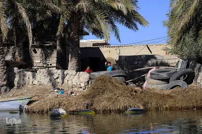 تالاب شادگان