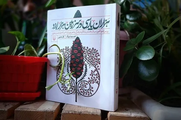 نگاهی به ادبیات دوران صفویه با «هَزاران پارسی در سرزمین هزار ایزد»