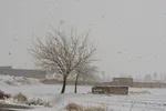 اصفهان در آغوش زمستان