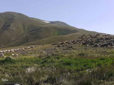 طبیعت زیبای قوشاداغ در اهر