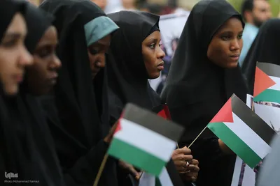 تجمع دانشجویان دانشگاههای علوم‌پزشکی در دفاع از ملت مظلوم فلسطین