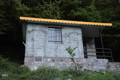 طبیعت تیر ماهی جنگل‌های ارسباران