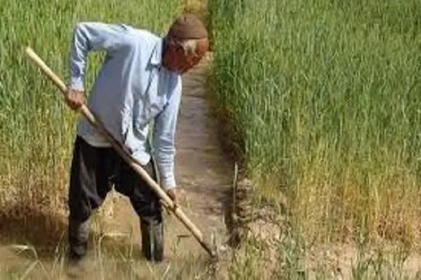زمین از نگاه شهید صدر