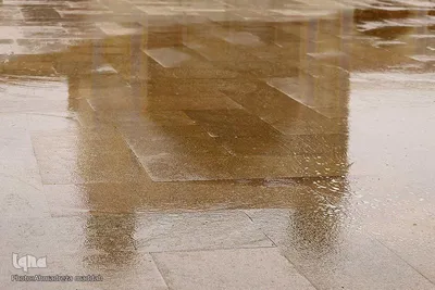 مسجد وکیل شیراز
