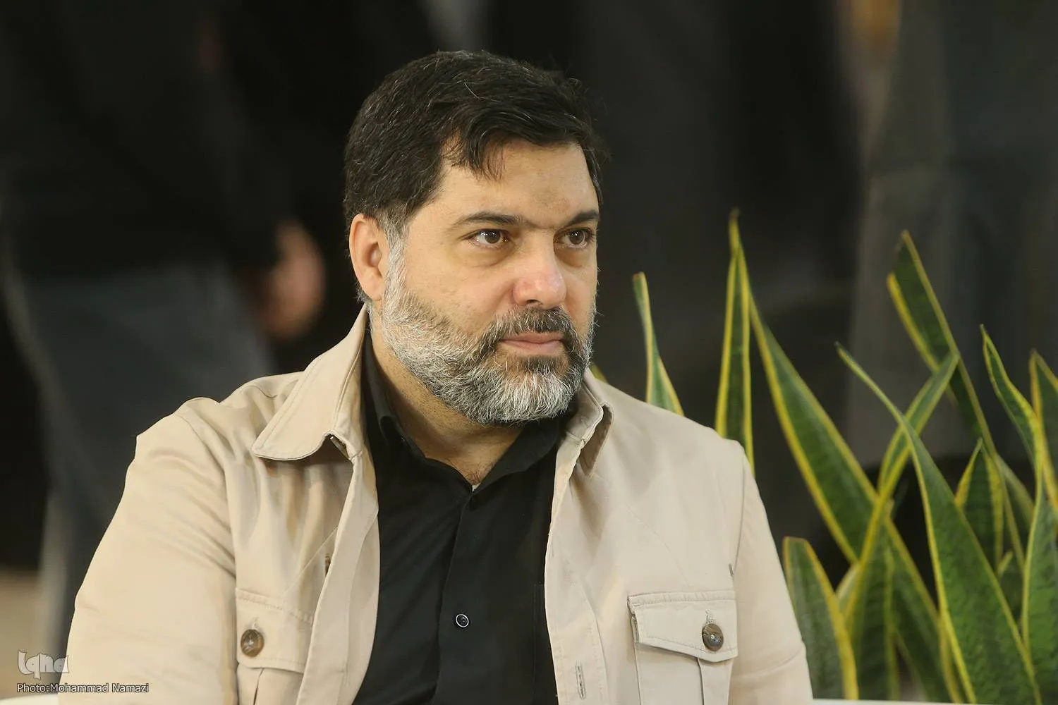هیچ درخت سبزی برای ساخت مسجد در پارک قیطریه قطع نمی‌شود