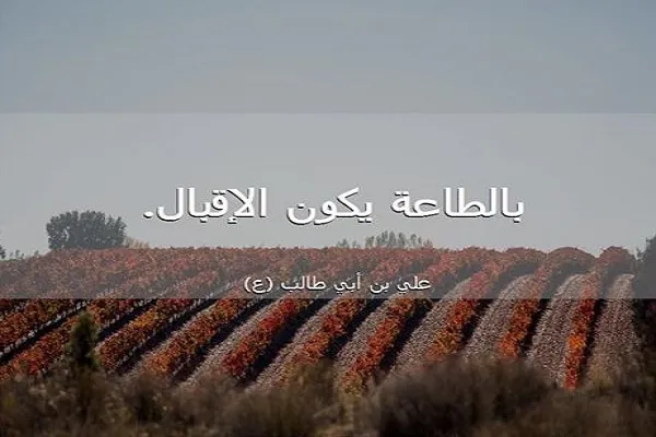 الإقبال على الله تعالى والاهتمام بأمره لايكون إلا بالطاعة له