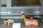 نگاهی به تاریخ در عمارت جهانی اکبریه بیرجند