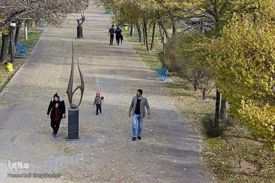 تبریز برگ‌ریز