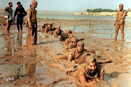 بسیجی، بهار آفرین چهار فصل آزادی
