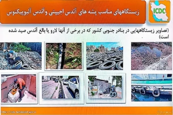 همه‌گیری آئدس در کشور در صورت اهمال دستگاه‌ها