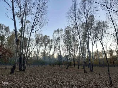 رنگ آمیزی طبیعت در مناطق روستایی شهرستان اهری