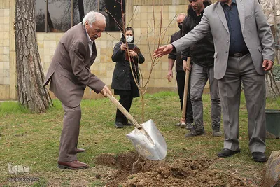 کاشت درخت توسط هنرمندان در فرهنگسرای نیاوران