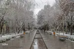 آشتی اصفهان با برف