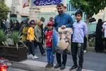 شادپیمایی روز غدیر در شیراز