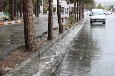 بارش باران در بیرجند