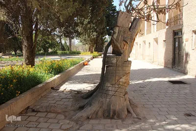 باغ رحیم‌آباد بیرجند