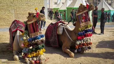 مراسم خیمه‌سوزان و مقتل‌خوانی در خمینی‌شهر اصفهان