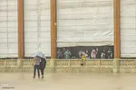 باران اردیبهشت در حرم شاهچراغ(ع)