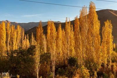 پاییز زیبای طالقان