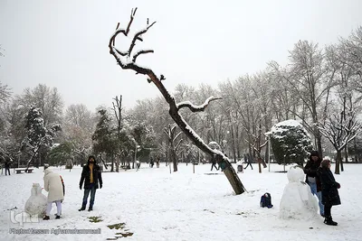 بارش برف زمستانی در تهران