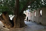 منطقه گردشگری خداآفرین در آذربایجان شرقی