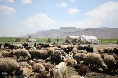 پانزدهم مهر؛ روز ملی روستا و عشایر