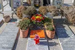 روز پدر در اصفهان