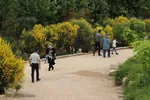 اردیبهشت باغ گل های شیراز‎‎