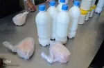 تور رسانه‌ای بازدید از دستاوردهای کشاورزی و دامپروری شهرستان اسکو‎