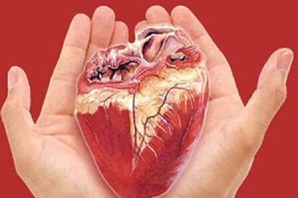 اعضای بدن جوان شازندی جان ۷ نفر را نجات داد