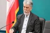 پیام تسلیت وزیر فرهنگ در پی شهادت فاطمه میر