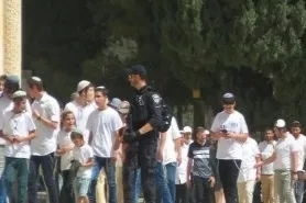شاهد.. ميليشيات المستوطنين تعربد في طريق باب السلسلة بالقدس