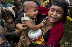Le Bangladesh déconnecte les Rohingyas
