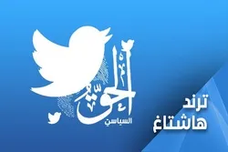 بحرینی حقوق کے لیے سوشل میڈیا پر مہم