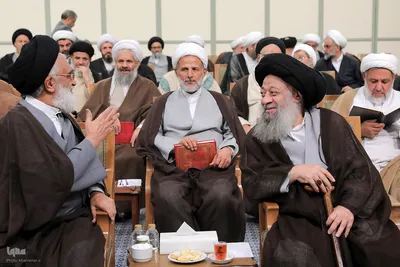 دیدار اعضای مجلس خبرگان رهبری
