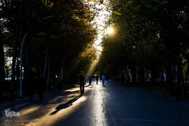 پاییز در سکوت/ مشهد مقدس