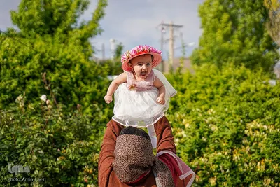 جشنواره گل محمدی در میمند فارس‎‎