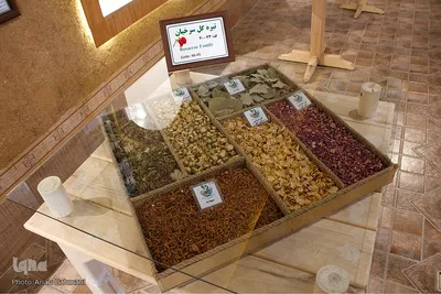باغ موزه گیاهان دارویی و معطر زنجان