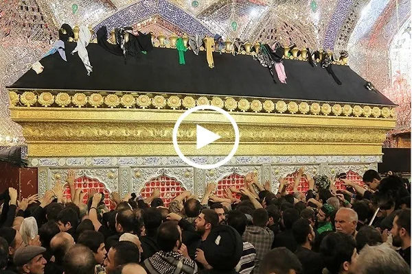 بالفيديو...جموع الزائرين عند مرقد أمير المؤمنين(ع) قبل التوجه لكربلاء